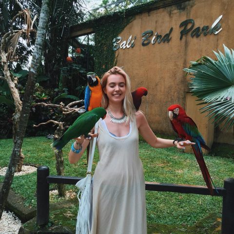 Bali bird park