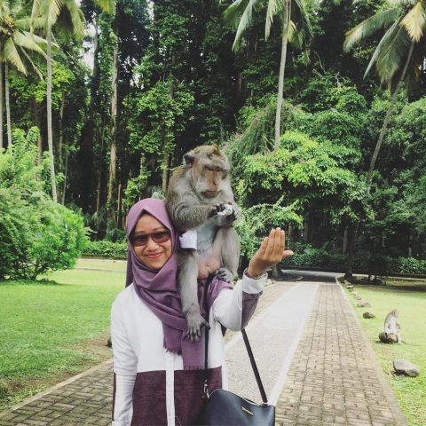 Sangeh monkey forest