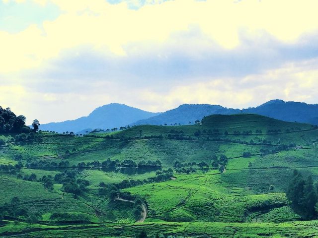 Taman riung gunung bogor