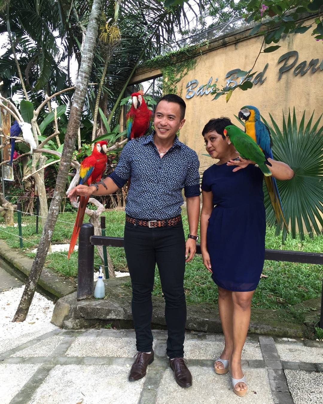 wisata bali bird park