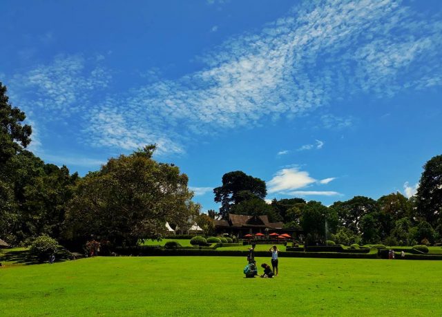 Suasana kebun raya bogor