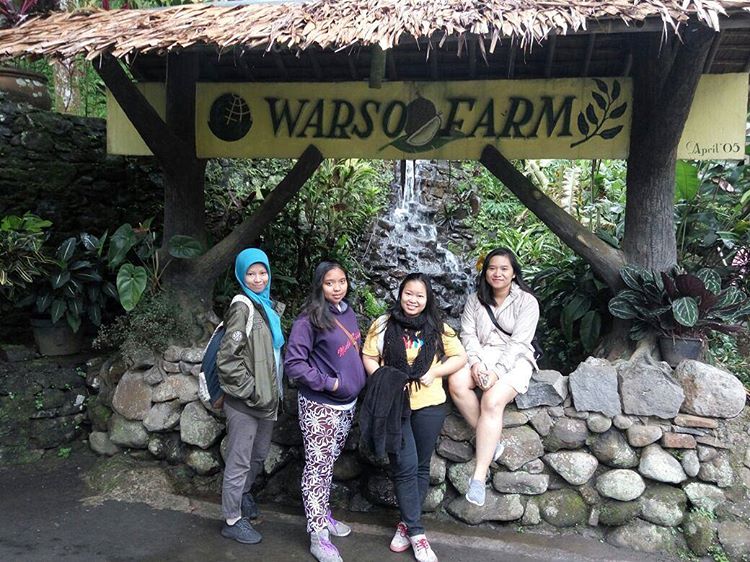 Warso Farm