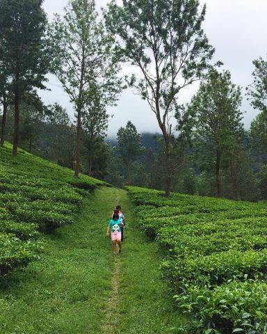 Gunung mas puncak bogor