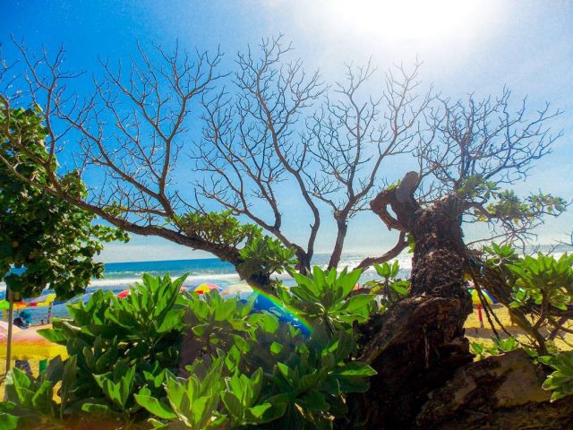 Pantai pok tunggal jogja