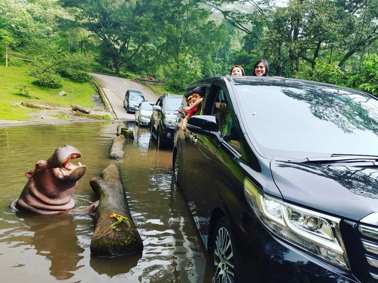 taman safari indonesia bogor